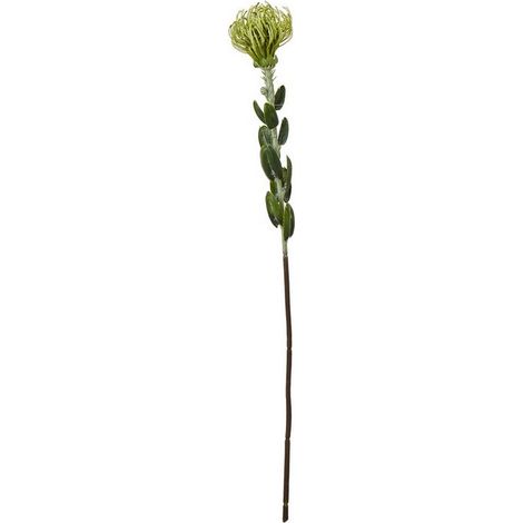 Pincushion Protea Spray (Single Stem Flower) - Plastic - Height 61 cm - Green