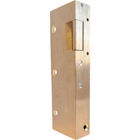 Gache électrique en applique 158 mm serrure verticale contact stationnaire 12V droit Beugnot 12 (1/5)