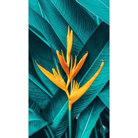Panneau mural douche en alu-composite VIPANEL - Inspiration Nature Décor Fleur Exotique - Finition Brillant - 150x255cm (1/5)