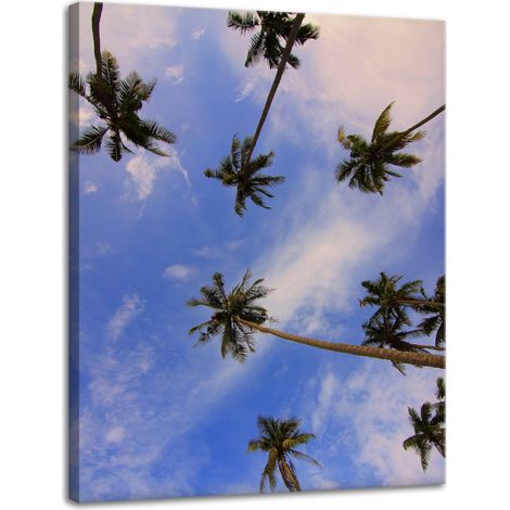 Leinwanddruck Natur Kokospalmen 30x40 cm