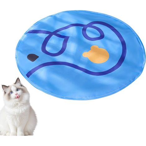 Interaktive Katzenmatte – Automatischer, mobiler und tragbarer Ball (1/5)