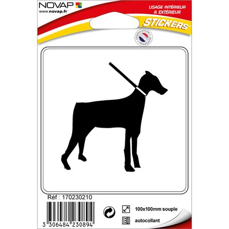 Stickers adhésif - Obligation de tenir son chien en laisse - 4230894