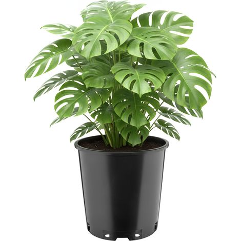 Garronda Pot de Fleur Rond Haut Plastique Ø26 x 26 cm (12L) - Godet Semis Pot Culture Profond Drainage Résistant Intempéries pour Plantes Pépinière Jardin Serre Intérieur Extérieur GD-0203