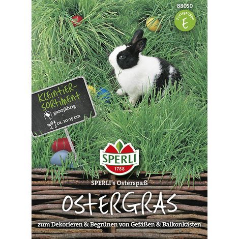 Sperli – Herbe de Pâques « SPERLI's Osterspaß » – Graines, prête en 2 à 3 semaines, 10-15 cm (1/2)