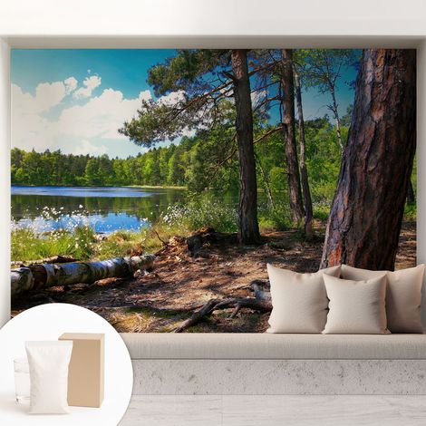Tapete Vliestapete mit Kleber - Fototapete mit Motiv - Wandtapete modern - Wandgestaltung Waldlandschaft 208x146 cm (1/5)