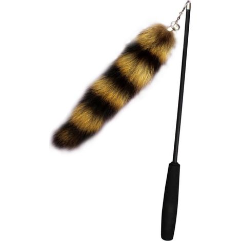 Canne à plumes télescopique pour chat, jouet interactif rétractable, queue de renard, jeu pour chat d'intérieur (1/5)
