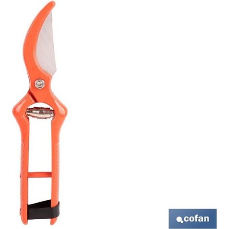 Cisailles de collection forgées de 230 mm, acier forgé, conception ergonomique et durable.