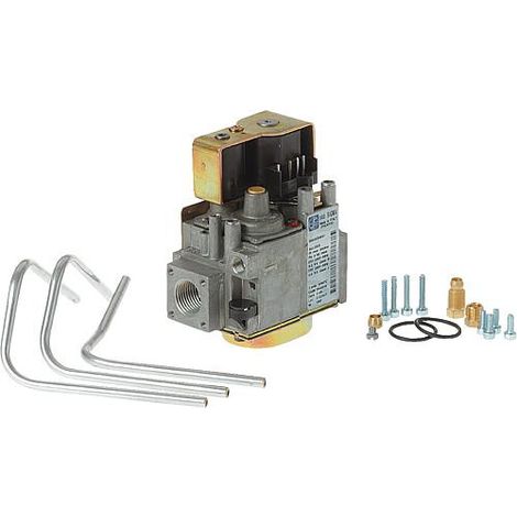 Wolf Vanne combinée gaz Sigma 840 pour FNG, CNG, 8750058