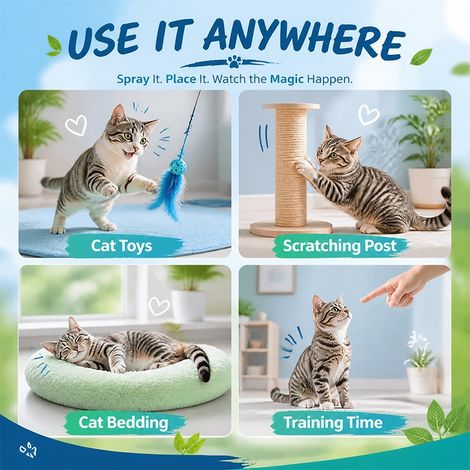 Le spray à l'herbe à chat apaise le stress et calme l'anxiété – une boisson qui fait le bonheur des chats (1/4)