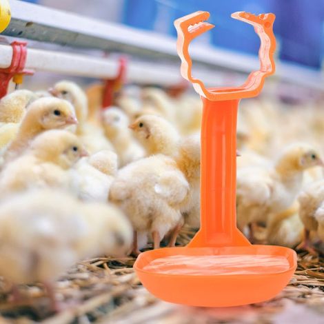 10 Pièces Abreuvoirs à Tétines pour Volailles, Becs Verseurs Anti-Gaspillage, Équipement Agricole (1/5)