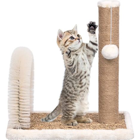 Arbre à chat Cadre d'escalade de Chat avec brosse de toilettage en arche et grattoir 72280 (1/5)