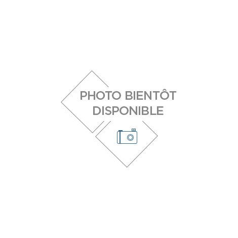 FLEX HUILE 1SN19MM 90° LG 1,5M RENSON