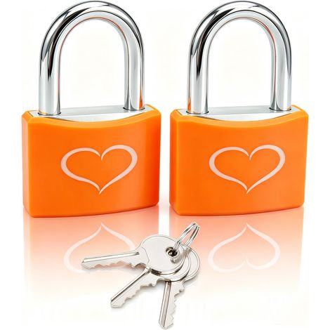 Lot de 2 cadenas avec 3 clés, serrure de casier avec corps de serrure en aluminium de 2,5 à 1,4 cm de large, cadenas à clés identiques pour casier de gym, portail, abri de jardin, unité de rangement (1/5)