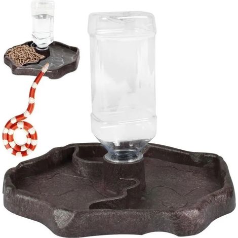 Distributeur d'eau pour Reptile - 1PCS - 2 en 1 - Abreuvoir Tortue - Mangeoire - Plastique Durable (1/4)