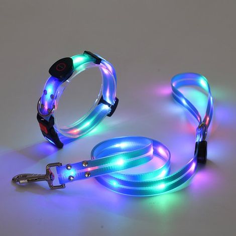 Correa y collar luminosos para perros，correa de silicona LED para perros，adecuados para perros pequeños/medianos/grandes (azul)