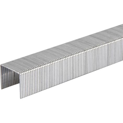 Tacwise – Agrafes en acier inoxydable 53mm – Lot de 2000 pièces – Finition discrète pour travaux délicats – Compatible agrafeuses type 53