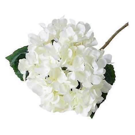 Feuilles et tiges de fausses fleurs réalistes pour mariage, maison ou bureau, centre de table. Fleurs artificielles.blanc (1/5)
