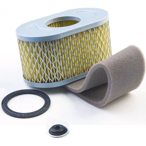 Filtre à air BRIGGS ET STRATTON 797032 - 797033 - 798504