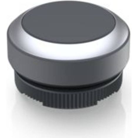 RAFI 1.30.270.021/0700 RAFIX 22 FS Pulsante Momentaneo (L x L x A) 29.8 x 29.8 x 18.5 mm 1 pz.