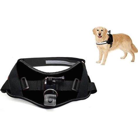 Harnais de Sport - ACTIVEON - ACM09DV - Caméra pivotante 360° - Confort rembourré - Lavable