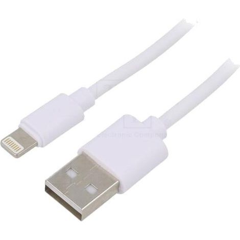 Cable USB 2.0 prise Apple Lightning vers prise USB A 1.8m - Blanc