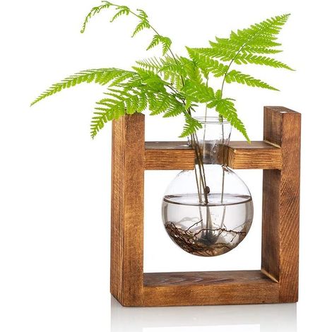 Plant Propagation Station 1 Pc Bulb Vase, Glass Vase Terrarium Pot Planter with Wooden Stand, Transparent Flower Vases, Home, Kitchen, Table (1/5)