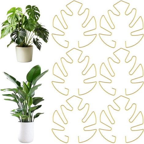 Support pour Monstera - Support de tige - Forme de tortue en fer - Pince en bambou - Lot de 6 - Plantes d'intérieur - Marron