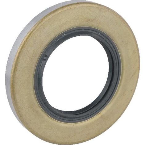 Joint AS-MOTOR E10958ASM (1/3)