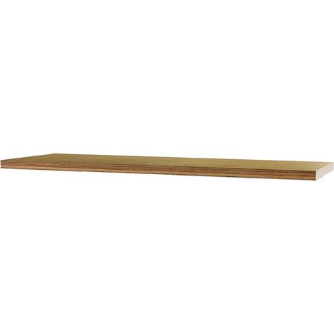 WS24 Werkbankplatte Buche Multiple x B x T x H 1.500 x 600 x 40 mm - WS24-100340