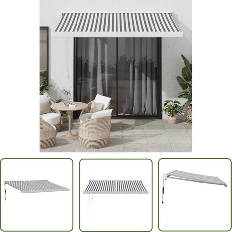 vidaXL Auvent rétractable anthracite/blanc 3x2,5 m tissu et aluminium (1/5)