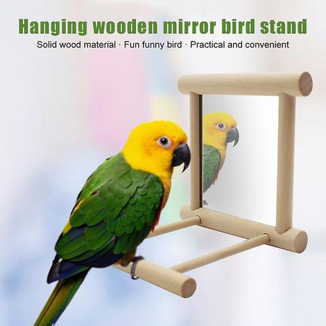 Miroir pour oiseaux, balançoire suspendue pour perroquets, support en bois, accessoires pour cage à oiseaux (1/4)