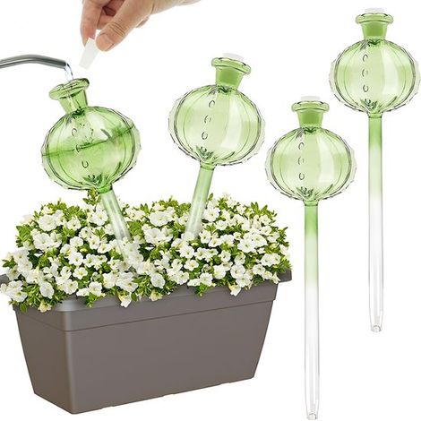Longziming - Globes d'arrosage pour plantes vertes – Globes d'arrosage automatiques pour plantes d'intérieur – Système d'arrosage pour cactus et plantes d'intérieur (1/5)