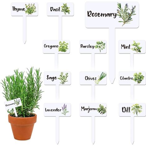 CCYKXA Set of 24 acrylic plant labels - 12 styles - Garden markers - Waterproof and reusable - With names for indoor and outdoor garden decoration