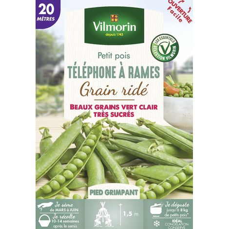 Vilmorin Pois Grimpant à Grain Ridé Téléphone à Rames - 20 m (1/3)