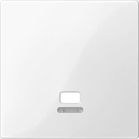 Merten Zentralplatte mit Kontrollfenster für Zugschalter, polarweiß glänzend, System M MEG3380-0319 (1/2)