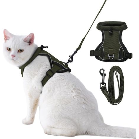Harnais pour Chat Anti Évasion avec Laisse Réglable, Harnais Chat Adulte et Chaton en Maille Respirante Réfléchissante pour Promenade (1/5)