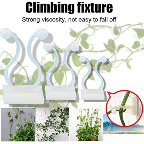 Lot de 50 clips de fixation pour plantes grimpantes, supports adhésifs pour plantes grimpantes murales et autres plantes de jardin. (1/5)