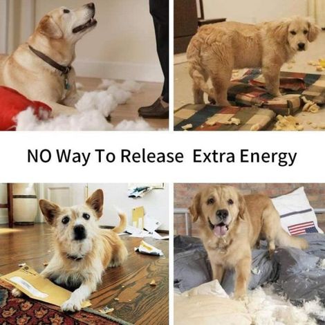 Tapis éducateur pour Chiens - Snuffle - Interactif - Antidérapant - Linoléum - Moyen (1/4)