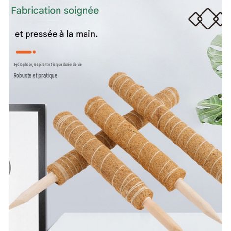 Poteau de support en fibre de coco 60 cm pour plantes grimpantes tuteur pour monstera et pothos tige de fixation anti‑chute vendu à l unité (1/3)
