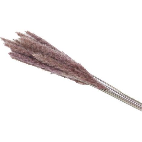 15/30x Bouquet de fleurs artificielles séchées en herbe de la pampa naturelle, couleur naturelle, pour mariage et décoration intérieure (B 30PCS)-AquaForge (1/5)
