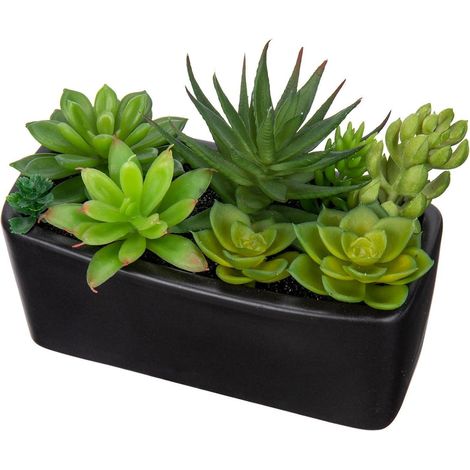 Kunstpflanze Sukkulente Schwarz Keramiktopf Deko Zimmerpflanze 14cm (1/5)