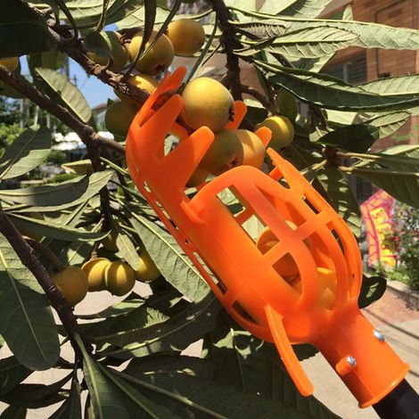 Obstpflücker aus Kunststoff, Erntepflückerkopf, Obstkorb, Obstfänger (1/5)