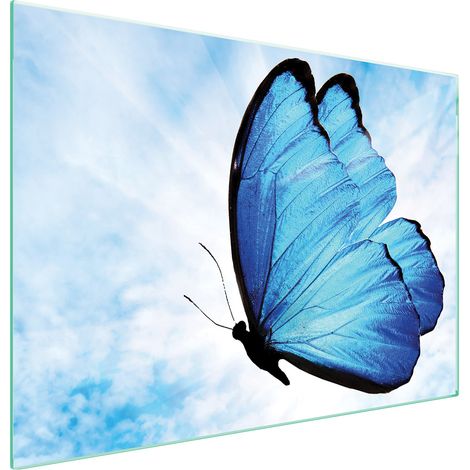 GLASSCHUTZPLATTE FÜR HERD 70x52 BUTTERFLY (1/5)