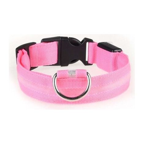 QORVA-Collier LED rechargeable par USB pour chien de compagnie, clignotant, lumineux, sécurité, lumière en nylon (1/4)