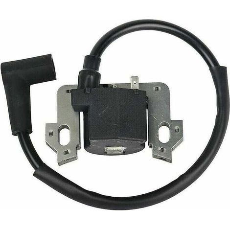 Remplace le module de bobine d'allumage Gcv135 Gcv160 Gcv190 Gsv160 (1/4)