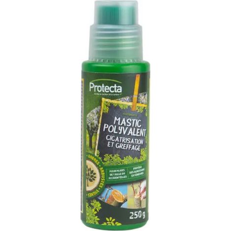 Mastic polyvalent - 250gr