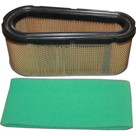Compatible avec les cartouches filtrantes de remplacement Briggs & Stratton 496894, 493909 et 496894S. (1/4)