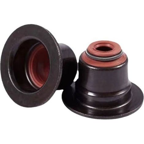 Convient aux joints de queue de soupape BMW F20 F30 R56 R60 11340033950 Pièces automobiles