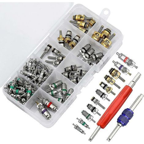 oyaux de valve de climatisation R134a – 100 noyaux + 2 outils de démontage – Pour entretien systèmes climatisation auto (1/5)