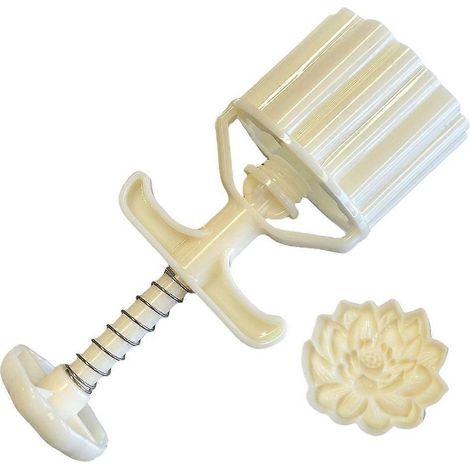 Moules à gâteaux de lune résistants, tampon délicat avec motif 3D unique pour pâtissiers (1/4)